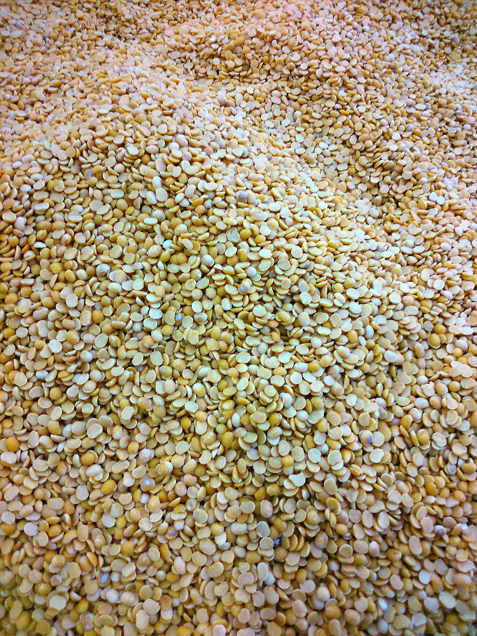 Split toor dal lentils